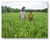 Community Advancement and Rural Development Society CARDS Society NGO Raipur Chhattisgarh
